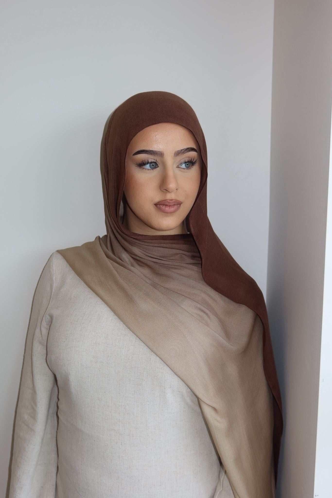 Brown Ombre Modal